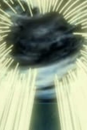 Digimon Adventure Season 2 Episode 50 END - Poster