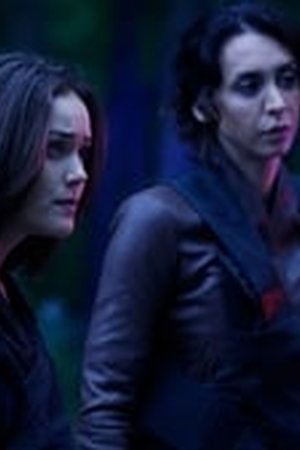 The Blacklist Season 2 Episode 6 - Poster