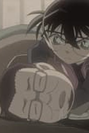 Detective Conan Season 1 Episode 1019 - Poster