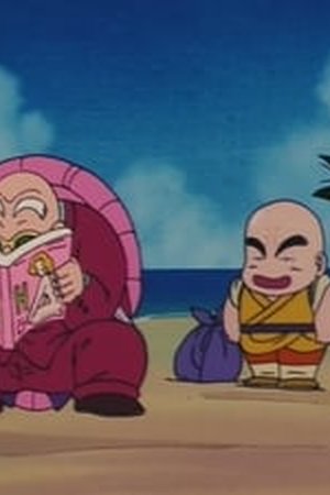 Dragon Ball Season 1 Episode 14 - Poster