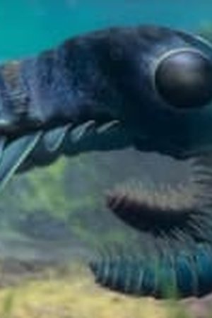 Life on Our Planet Season 1 Episode 2 - Poster