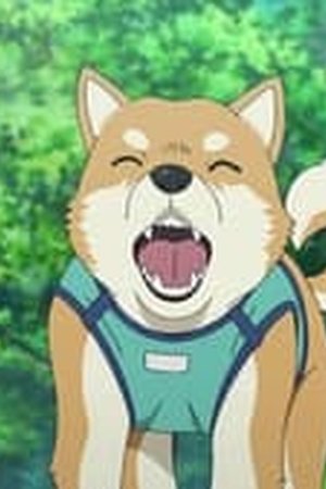 Detective Conan Season 1 Episode 1081 - Poster