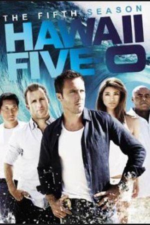 Hawaii Five-0 Season 5 (2014) - Poster