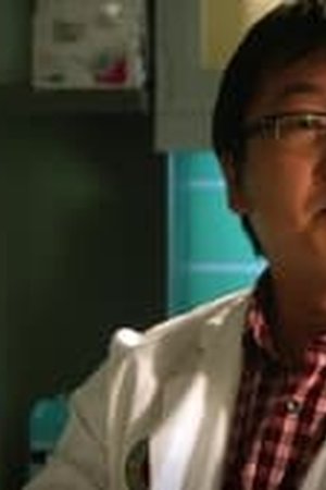 Hawaii Five-0 Season 2 Episode 4 - Poster