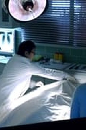 Hawaii Five-0 Season 1 Episode 5 - Poster