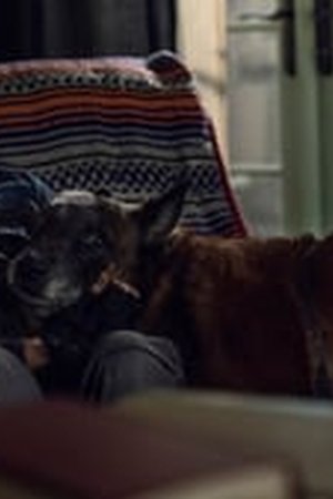 The Walking Dead Season 10 Episode 21 - Poster