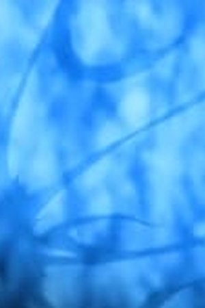 Naruto Shippūden Season 1 Episode 11 - Poster