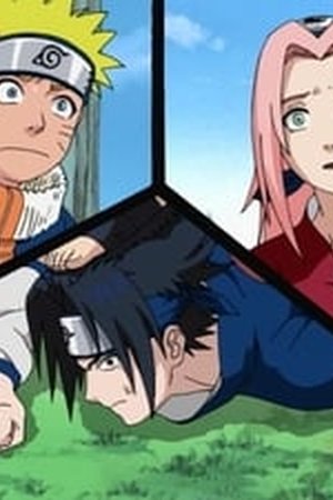 Naruto Season 1 Episode 5 - Poster