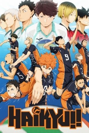 Haikyu!! (2014) - Poster