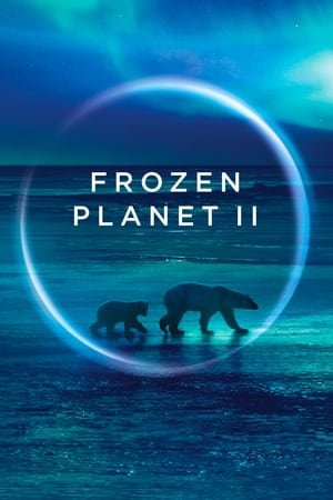 Frozen Planet II Season 1 (2023) - Poster