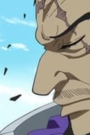 One Piece Season 17 Episode 740 - Poster