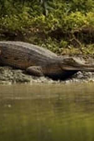 Jane Season 1 Episode 5 - Poster