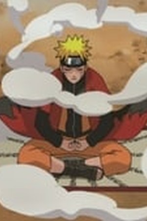 Naruto Shippūden Season 8 Episode 164 - Poster