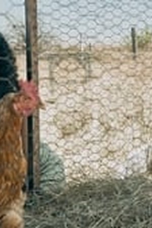 The Power Season 1 Episode 4 - Poster