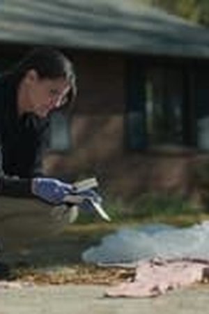 Missing: Dead or Alive? Season 1 Episode 1 - Poster