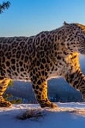 Frozen Planet II Season 1 Episode 5 - Poster