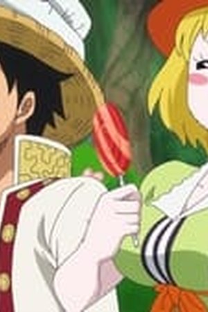 One Piece Season 18 Episode 791 - Poster