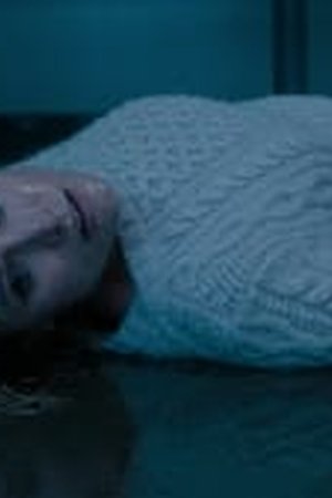 The Woman in the House Across the Street from the Girl in the Window Season 1 Episode 8 END - Poster