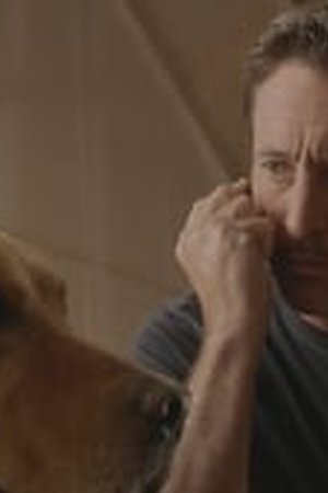 Hawaii Five-0 Season 10 Episode 14 - Poster