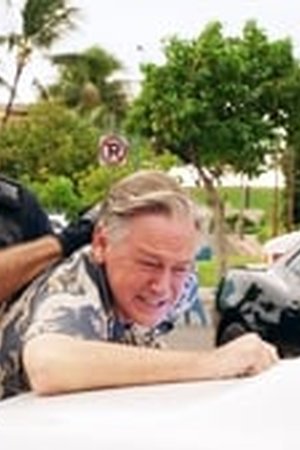 Hawaii Five-0 Season 8 Episode 13 - Poster