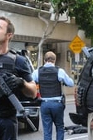 Hawaii Five-0 Season 6 Episode 24 - Poster