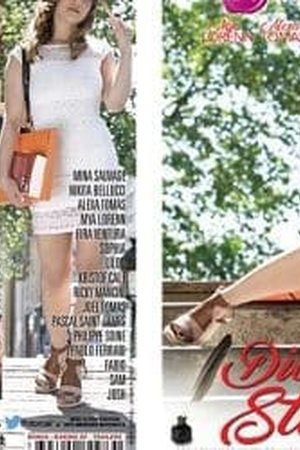 Diary of a Student - Poster