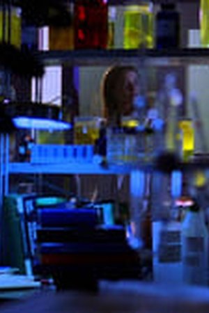 Smallville Season 2 Episode 19 - Poster