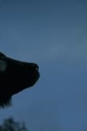 Our Universe Season 1 Episode 3 - Poster