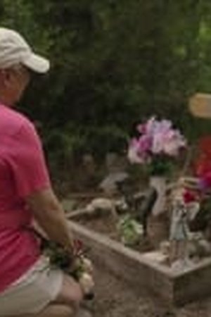 Crime Scene: The Texas Killing Fields Season 1 Episode 3 - Poster