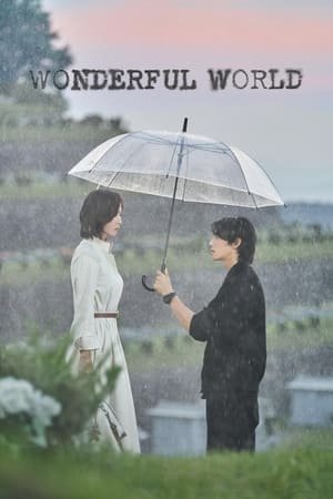 Wonderful World (2024) - Poster