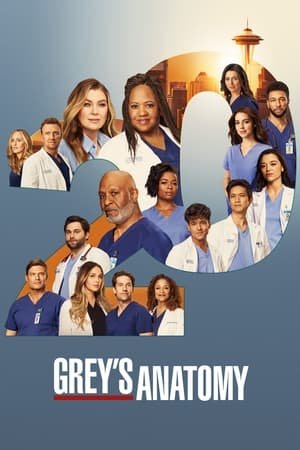 Grey's Anatomy Season 20 (2024) - Poster
