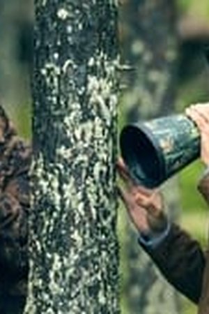 The Reluctant Traveler with Eugene Levy Season 2 Episode 1 - Poster