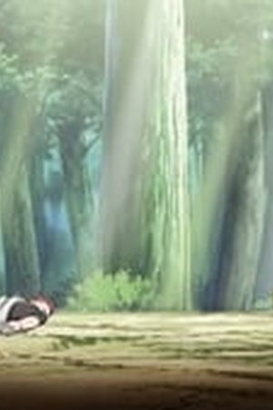 Naruto Shippūden Season 18 Episode 388 - Poster