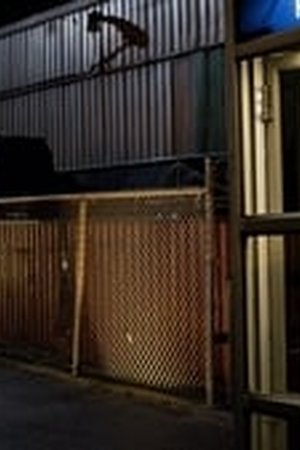 Smallville Season 10 Episode 18 - Poster