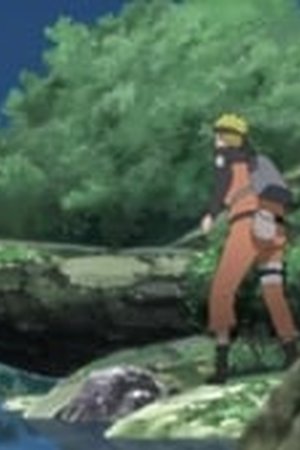 Naruto Shippūden Season 13 Episode 290 - Poster