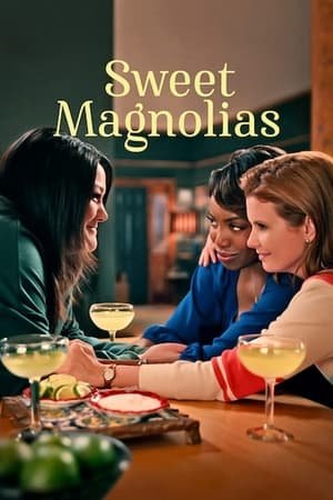 Sweet Magnolias Season 1 (2020) - Poster