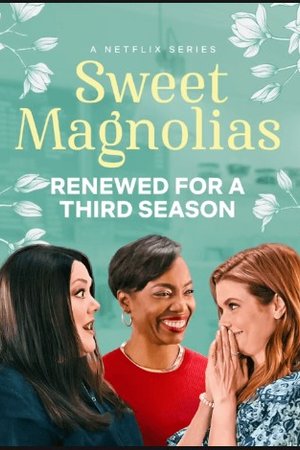 Sweet Magnolias Season 3 (2023) - Poster