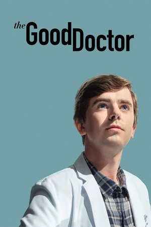 The Good Doctor Season 6 (2022) - Poster