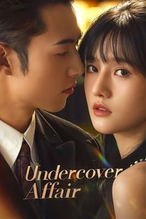 Undercover Affair (2024) - Poster