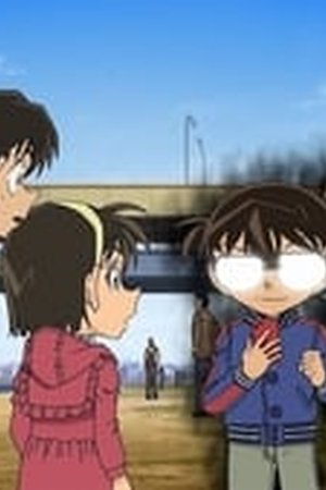 Detective Conan Season 1 Episode 765-766 - Poster