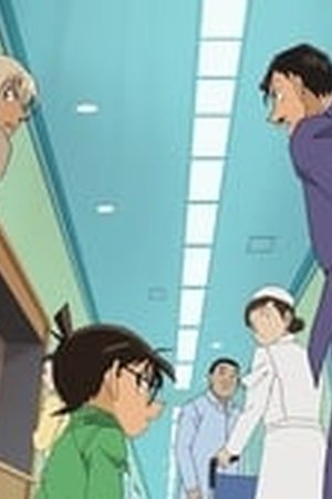 Detective Conan Season 1 Episode 770-771 - Poster