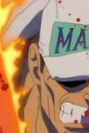 One Piece Season 13 Episode 463 - Poster