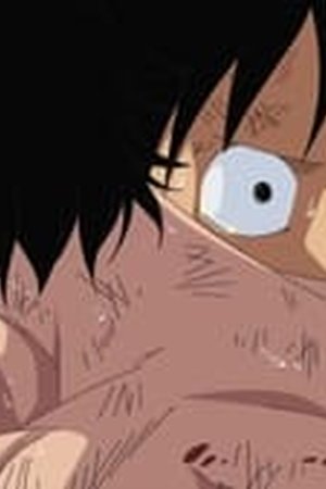 One Piece Season 13 Episode 483 - Poster