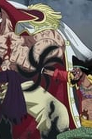 One Piece Season 13 Episode 485 - Poster