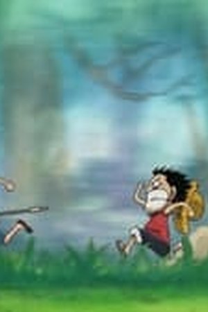 One Piece Season 13 Episode 493 - Poster