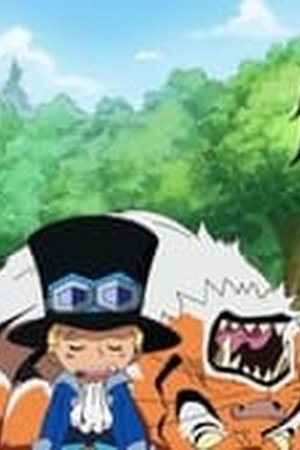 One Piece Season 13 Episode 499 - Poster