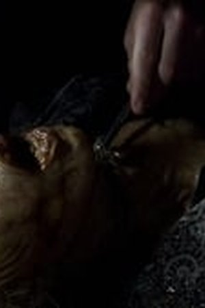 Fringe Season 4 Episode 17 - Poster