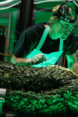 Swamp Thing Season 1 Episode 9 - Poster