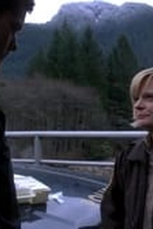 Fringe Season 2 Episode 21 - Poster