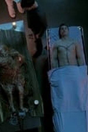 Fringe Season 2 Episode 19 - Poster